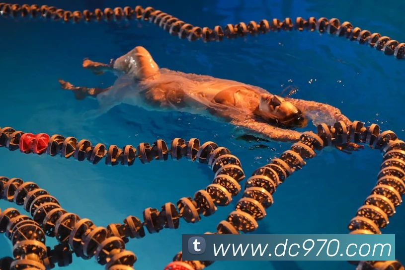 多彩彩票dc平台生态图